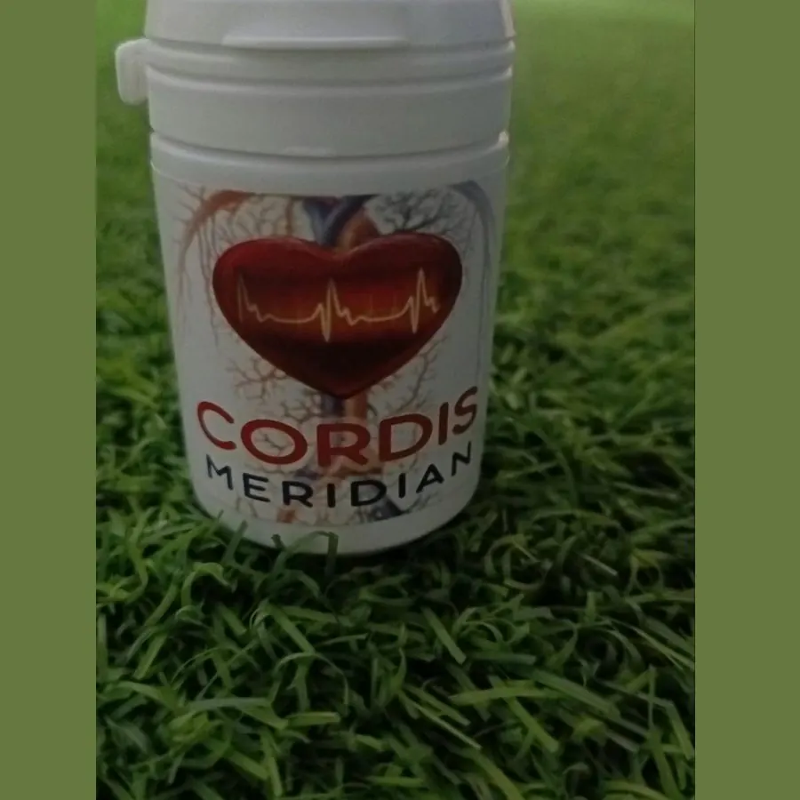 Cordis Meridian