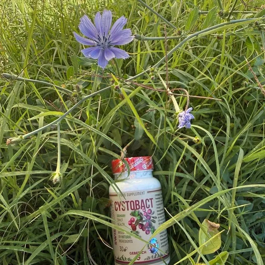 Cystobact — foto 1