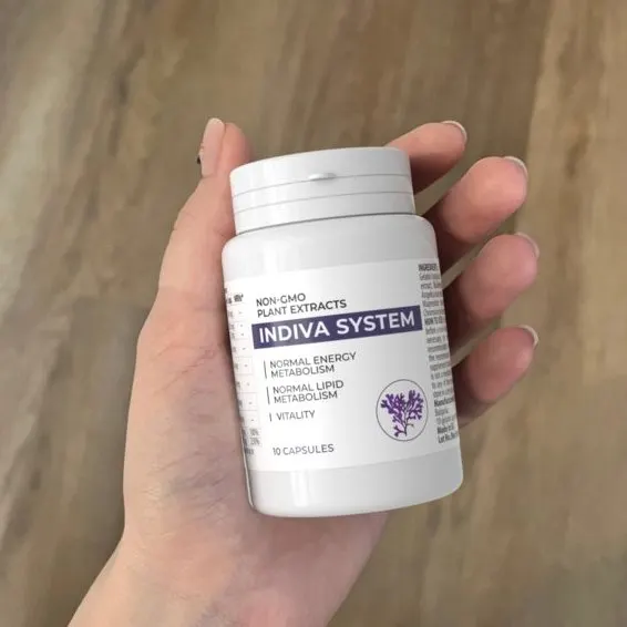 Indiva System — visuel