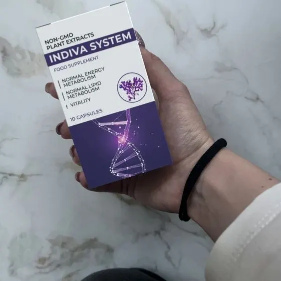 Indiva System — visuel 3