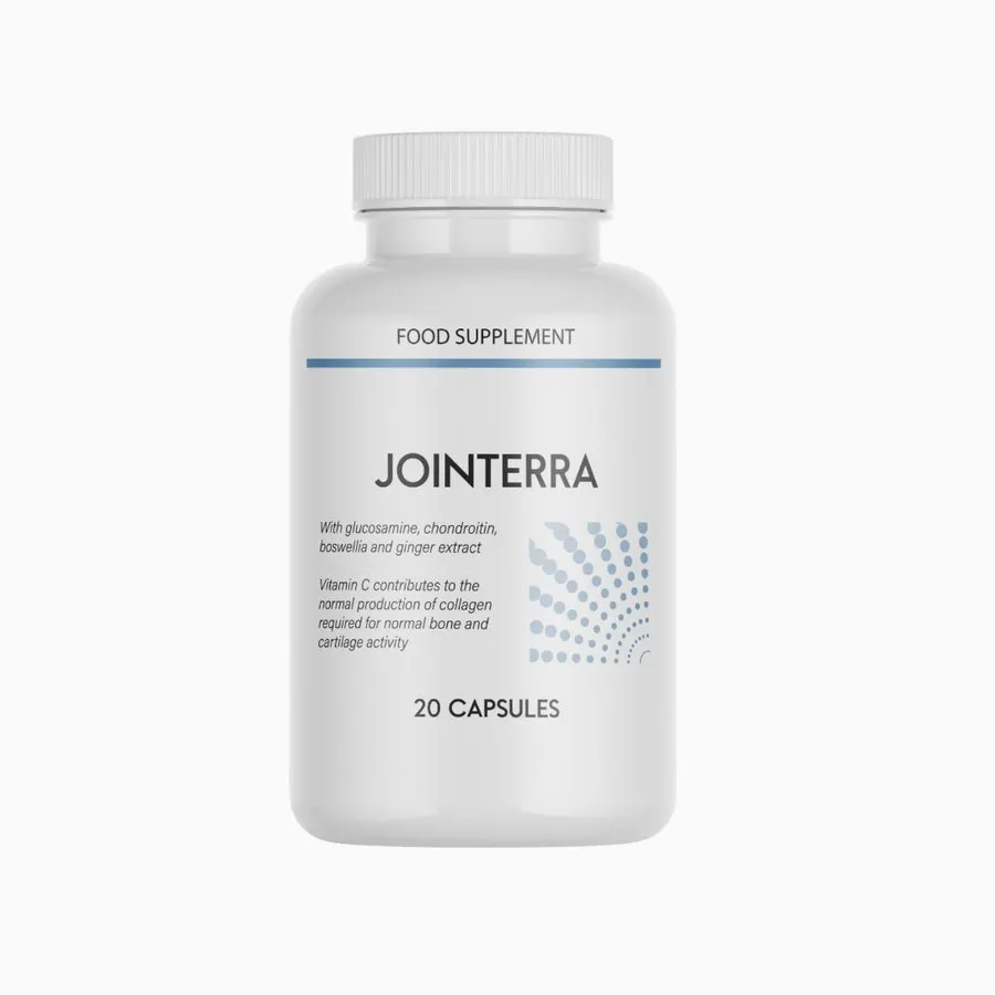 Jointerra